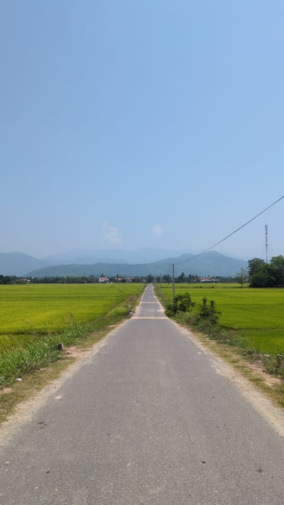 The image captures a rural road in Dien Tho, Vietnam. The asphalt road stretches into the distance, flanked on both sides by vibrant green rice fields. Power lines run parallel to the road, supported by utility poles. Distant mountains are visible through a light haze. The sky is a clear, pale blue. A small cluster of buildings is discernible in the distance along the road. The image suggests a peaceful, agricultural setting.