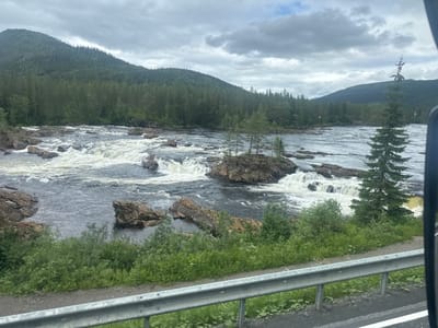 The image captures a section of the Namsskogan river in Namsskogan, Norway, characterized by rapids and rocky outcrops. Dense evergreen forests cover the sloping hills in the background, under a cloudy sky. A metal guardrail runs along the foreground, separating a paved road from a grassy embankment. The river is wide and turbulent, with white water churning over submerged rocks. Several large, weathered boulders are visible in and along the water. The vegetation on the banks is lush and green, with various shrubs and grasses. There are no people or animals visible in the frame.