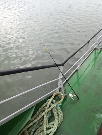 A fishing rod and reel are placed on the green deck of a boat. A thick rope is coiled on the deck next to the fishing equipment. The boat is on the water, which appears calm with slight ripples. A metal railing runs along the edge of the deck. The sky is overcast. The scene is not identifiable as being in the city of Šabac, Serbia.