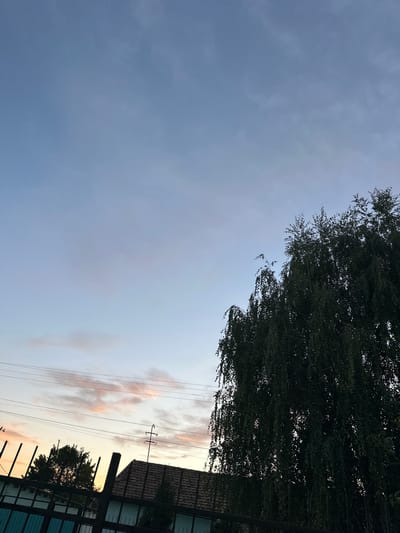 The image depicts a twilight scene in Bakay-Ata, Kyrgyzstan. The sky is a gradient of soft blues and pale pinks, with scattered wisps of clouds. In the foreground, a large, dense tree with drooping branches dominates the right side of the frame, its dark foliage silhouetted against the sky. Below the tree and stretching across the lower portion of the image is a dark metal fence. Behind the fence, a tiled roof of a building is visible, along with the silhouette of another, smaller tree on the left. Several power lines crisscross the mid-ground, intersecting with a utility pole topped with insulators. The overall impression is one of a quiet evening in a semi-urban or rural setting.