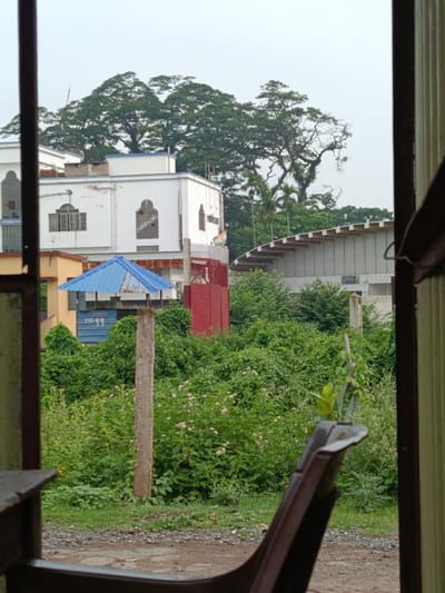 The image captures a view from inside a structure looking out towards a somewhat overgrown urban or semi-urban landscape in Benapole, Bangladesh. In the foreground, a portion of a dark, weathered wooden bench or seating area is visible on the left, and a rusty metal seatback is in the lower right corner, suggesting the vantage point is from within a vehicle, possibly a train.

Beyond these elements, a dense canopy of green foliage dominates the midground, punctuated by a cluster of tall, mature trees with spread-out branches against a pale, overcast sky. To the left of the foliage, a white building with arched windows and a blue roofed structure are partially visible. A red metal gate and a section of a building with a curved, slatted roof are seen further to the right. The overall impression is one of lush vegetation encroaching on man-made structures, with a slightly weathered and perhaps neglected appearance. The sky is uniformly grey, indicating overcast conditions.
