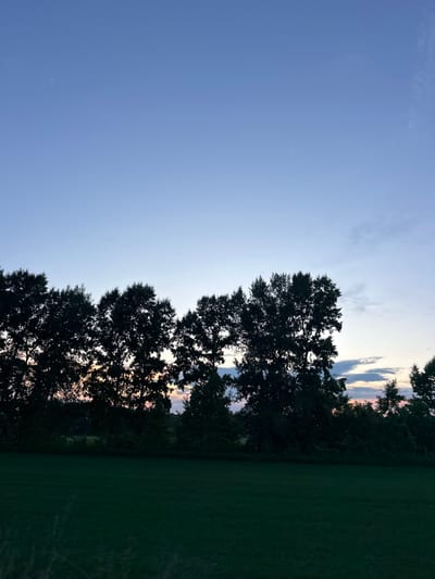 The image depicts a serene landscape at dusk, with a clear, pale blue sky transitioning into softer hues near the horizon. A line of silhouetted trees forms a dark band across the middle ground, their dense foliage obscuring the land behind them. The setting sun casts a warm glow through the gaps in the trees, creating streaks of pink and orange light. In the foreground, a dark green field stretches out, its texture appearing smooth and uniform. There are no people or animals visible in the scene, and no actions or interactions are occurring. The environment is natural and undeveloped, suggesting a rural or semi-rural setting. The image does not provide any specific clues to pinpoint its location within Elanda, Russia, or any other city.