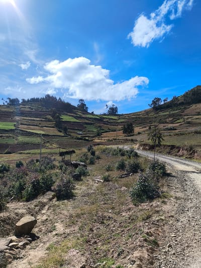 This image depicts a rural landscape in San Ignacio, Peru. The scene is dominated by terraced hillsides used for agriculture, under a bright blue sky with scattered white clouds. A dirt road runs along the right side of the frame, winding uphill. In the foreground, there's dry, grassy terrain with small bushes. A large rock sits on the left side. Further up the hillside, terraced fields are visible, showing varying shades of green and brown. Trees are scattered throughout the landscape. The sky is clear with some clouds and a sun flare in the upper left corner. There are no people visible in the image.