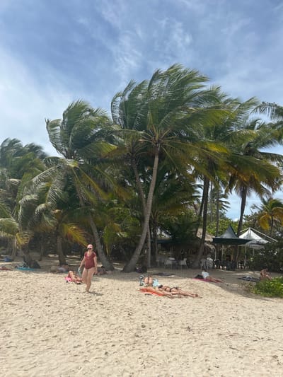 The image depicts a beach scene in Le Gosier, France, characterized by a sandy beach lined with palm trees under a partly cloudy sky. Several individuals are present on the beach, some sunbathing while others are standing or walking. A small building with a shaded awning can be seen in the background. The scene suggests a typical day at a tropical beach.