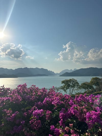 The image shows a landscape in Ban Chiao Lan, Thailand, featuring a lake framed by mountains in the background. The foreground is adorned with vibrant purple bougainvillea flowers on the right, while the left side displays a clear blue sky with scattered cumulus clouds. The sun is visible in the lower-left corner, casting a bright light across the sky. The lake's surface reflects the sunlight, creating a shimmering effect. Trees are visible between the flowers and lake.