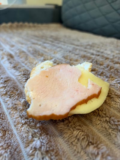 A close-up, high-angle shot shows a piece of bread topped with cheese and ham, resting on a textured brown cloth. The bread is a small, irregularly shaped piece, with a golden-brown crust visible on the left side. On top of the bread is a slice of light yellow cheese, which appears slightly melted and is draped over the ham. The ham is a pale pink, thinly sliced meat with a slightly shiny surface. There are a few small, dark specks on the ham, possibly spices or imperfections.
The brown cloth beneath the food has a plush, fluffy texture, with a prominent ribbed pattern running diagonally across the frame. In the background, to the left, a portion of a blue quilted surface is visible, possibly furniture.
The lighting suggests it is daytime, with natural light illuminating the scene. The overall impression is of a casual, domestic setting, perhaps a snack or a light meal. No text is visible in the image. The focus is entirely on the food item and its immediate surroundings. The image was taken in Orhei, Moldova.