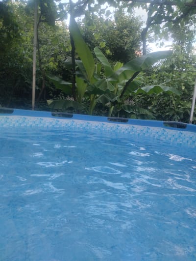 The image shows an outdoor swimming pool filled with clear blue water. The water surface is rippled, suggesting a gentle breeze or movement. The pool is lined with a mosaic pattern of small blue and white tiles. In the background, lush green foliage is visible, including large, broad leaves that resemble banana leaves, and other leafy trees and vines. The dense vegetation creates a natural, garden-like setting. A wooden pole or post is partially visible on the left side, and another white pole is on the far right, supporting some overhead structure, possibly a pergola or trellis covered in vines. The lighting suggests it is daytime, likely late afternoon or early evening, as the light is somewhat diffused and there are soft shadows. The overall scene evokes a sense of tranquility and relaxation, possibly a backyard or a garden area. There is no visible text in the image. The location is identified as Tamarisi, Georgia.