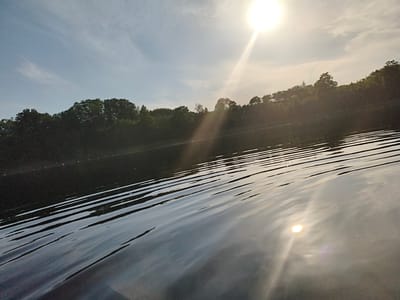 The image captures a serene natural scene of a body of water with a tree-lined shore under a bright, sunlit sky. The sun is positioned in the upper right quadrant of the frame, casting a strong glare and light rays across the water and sky. The water's surface is rippled, reflecting the light in diagonal patterns. In the background, a dense line of green trees forms a dark silhouette against the sky, with some lighter foliage visible on the crest of a gentle slope. A few small, round, orange buoys are visible dotted along the shoreline in the distance. The scene appears to be a natural landscape, possibly a lake or a wide river, typical of the surroundings found in Brocēni, Latvia, a town known for its natural beauty and proximity to water bodies such as Lake Brocēnu. There are no people or man-made structures prominently featured, emphasizing the natural environment.