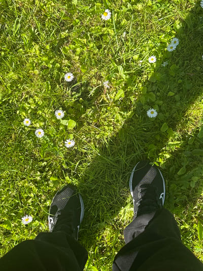 A first-person, downward perspective captures a person's feet positioned on a vibrant green grassy expanse. The ground is densely covered with various green foliage, including individual grass blades and broader-leafed plants, interspersed with numerous white daisies displaying prominent yellow centers. Approximately nine individual daisy flowers are clearly visible across the frame. The person is wearing black athletic shoes with white soles and subtle white design elements, along with black trousers or sweatpants. The scene is brightly illuminated by natural sunlight, casting distinct shadows from the vegetation and partially across the footwear and lower garments. The exact location in the city of Šķēde, Latvia, cannot be determined from the visual information presented in the image.