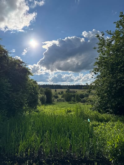 The image depicts a sunlit rural landscape with a vibrant green meadow in the foreground. Tall, lush green grass and plants fill the lower portion of the frame, illuminated by bright sunlight. Two trees frame the scene on the left and right, their leaves casting shadows. Beyond the meadow, a field with scattered trees and what appear to be two small, distant buildings stretches towards a dense forest that forms the horizon line. The sky is a brilliant blue, dotted with dramatic, fluffy white and dark grey clouds. The sun, a bright, dazzling orb, shines through a break in the clouds on the upper left, casting rays of light. The overall impression is a serene and picturesque summer day in a rural setting. Given the information about the location of Большой Турыш, Russia, this scene is consistent with the natural environment found in that region.