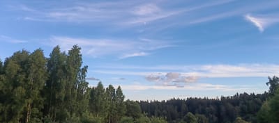 The image depicts a landscape scene in Мерчалово Снт, Russia. The dominant subjects are a line of deciduous trees in the foreground and a dense forest stretching across the middle ground, silhouetted against a bright blue sky. The sky is filled with wispy, cirrus clouds, indicating fair weather. A crescent moon is visible in the upper portion of the sky, suggesting it is either early morning or late evening. The lighting suggests the sun is low in the sky, casting a soft glow. The overall mood is serene and natural. There are no people or man-made objects visible in the image, emphasizing the rural and natural setting. The foreground trees are lush and green, indicating it is likely summer or early autumn. The density of the forest in the background suggests a wilderness area.