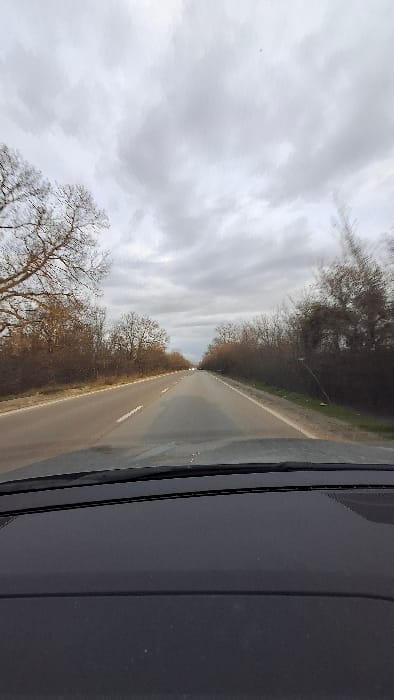 The image depicts a forward view from inside a vehicle traveling on a two-lane asphalt road in the vicinity of Stolnik, Bulgaria. The lower approximately 15% of the frame is occupied by the dark dashboard and the base of the windshield of the moving vehicle. The road surface is asphalt, extending straight into the distant background, marked by a dashed white center line separating the two lanes and a solid white line delineating the right shoulder. Both sides of the road are lined with dense, bare deciduous trees and shrubs, indicating a late autumn or winter season. This vegetation forms a natural border along the road and recedes with the perspective. The sky above is entirely overcast with uniform grey clouds, resulting in diffused, even lighting across the scene. No individuals or specific architectural landmarks of Stolnik are discernible. Distant light sources appear as faint reflections on the wet or reflective road surface ahead.