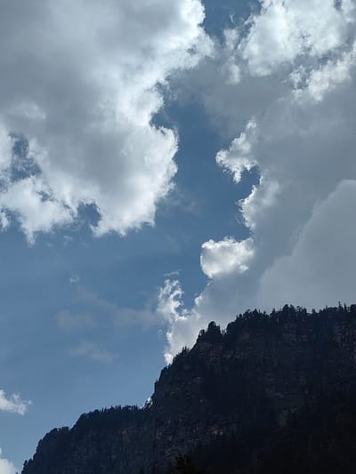 The image captures a dramatic mountain landscape with a dark, foreboding cliff face in the foreground, heavily laden with dense evergreen trees. The cliff's rugged texture is accentuated by the dark, silhouetted trees that crown its summit, suggesting a remote and wild terrain. Above, a vast expanse of sky is filled with an array of clouds. The clouds range from bright, wispy formations to heavier, more brooding masses, creating a dynamic contrast between light and shadow. Some clouds are illuminated by sunlight, appearing almost white and ethereal, while others are darker, hinting at impending weather or simply the way light interacts with their density. The overall impression is one of natural grandeur and untamed beauty, characteristic of mountainous regions.