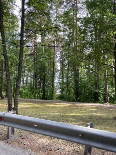 The image shows a view of a wooded area near a road in Ushkovo, Russia. In the foreground, a metal guardrail is visible, with a gray asphalt road and pinecones scattered on the ground beneath it. Beyond the guardrail, a grassy area with recently mowed grass is present. A paved pathway or road curves through the trees. The background is dominated by a dense forest of tall trees, predominantly pines, with lush green foliage. The sky is visible through the canopy, suggesting it is daytime with good lighting. There are no people or animals depicted in the image.
