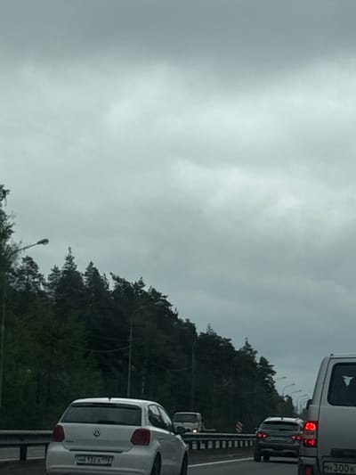 The image depicts a traffic scene near Myaglovo, Russia, under an overcast sky. A line of vehicles is visible, including a white van with license plate "PH 300K" and a white Volkswagen hatchback with license plate "H6 13EZ 178". The cars are on a highway adjacent to a dense green forest. Streetlights are sparsely positioned along the road.