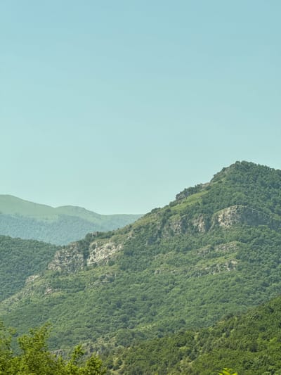 The image captures a vast mountainous landscape with a clear, pale blue sky dominating the upper portion. The mountains are covered in dense green foliage, with some rocky outcrops visible on the slopes. The foreground features the tops of trees, blurred and out of focus, suggesting the viewpoint is from within a forest or a similar elevated position. The scene conveys a sense of natural, untouched wilderness, likely in a rural or mountainous region of Armenia.