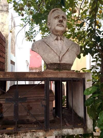 A stone bust of a man in a suit stands atop a concrete tomb structure behind a wrought-iron fence, in the Recoleta Cemetery in Asuncion, Paraguay. The tomb enclosure contains a coffin. Overhanging the bust are branches laden with green citrus fruits and leaves. Buildings are visible in the background.