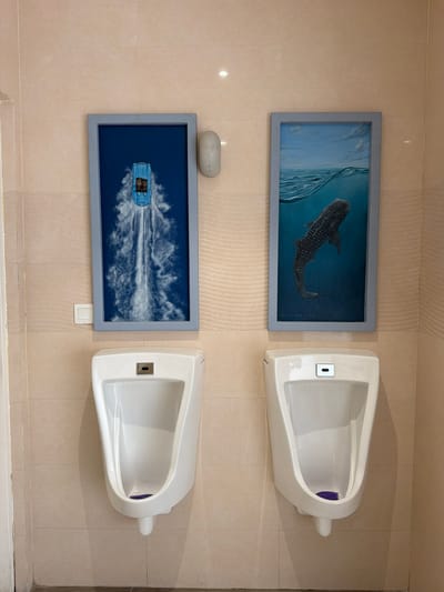 The image shows a men's restroom in Guraidhoo, Maldives. The walls are tiled in beige. Two white urinals are mounted on the wall. Above each urinal, there is a framed picture. The upper picture features a whale shark. The lower picture depicts a blue race car leaving a trail of water. Above the lower picture, there is a white, oval-shaped object mounted to the wall. Below the lower picture is a light switch.