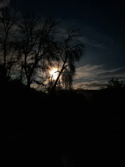 The image depicts a nighttime scene with a full moon shining through the bare branches of trees. The foreground is dominated by dark silhouettes of foliage and trees, creating a sense of depth and mystery. Wispy clouds partially obscure the moon, casting a soft, ethereal glow across the sky. The landscape appears to be a natural setting, possibly a park or woodland area, with a gentle incline visible in the background. The overall mood is serene and contemplative, with the moonlit sky providing a natural spectacle. The location in Novlianka, Russia, suggests a rural or semi-urban environment characterized by natural landscapes and a quiet atmosphere.