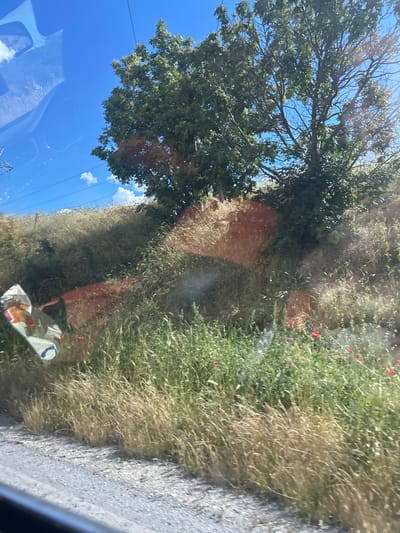 The image depicts a roadside view in Beloslav, Bulgaria. A tree with green leaves is prominent, set against a bright blue sky with scattered white clouds. The foreground features a grassy embankment with dry, tall grass mixed with green vegetation and scattered red wildflowers. A grey, gravelly road is visible at the bottom of the frame. Reflections on what appears to be a car window obscure parts of the scene, casting reddish-orange glows and distorting the view of the embankment. A piece of reflective material, possibly a sign or debris, is visible on the left side of the embankment.
