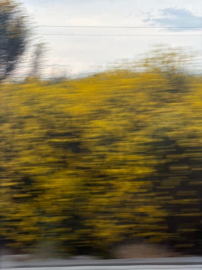 The image depicts a blurred landscape, suggesting motion. A band of vibrant yellow, possibly a field of flowers or foliage, dominates the mid-ground. Above this, a pale sky with wispy clouds is visible, intersected by two thin, horizontal lines that may represent power lines. On the left side of the frame, dark, streaky shapes suggest trees in motion. The foreground shows a horizontal gray band, possibly a road or embankment, also blurred. The overall impression is of a fast-moving perspective through a rural or semi-rural area. The location is identified as Skra, Georgia.