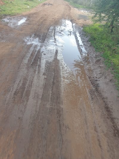 A muddy road stretches into the distance, marked by tire tracks and large puddles. The road surface is a mix of brown soil and standing water, creating a reflective surface. Green vegetation lines the left side of the road, providing a contrast to the earthy tones. The overall scene suggests a rural or unpaved pathway after a recent rainfall.