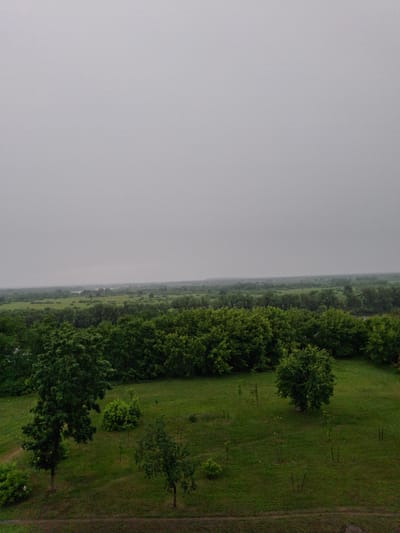 This is a vertical, aerial shot of a park or natural area in Rechytsa, Belarus. The scene is dominated by lush green grass and a dense line of trees running along the right side of the frame. In the background, a hazy, misty sky takes up the left portion of the image, suggesting a cloudy or overcast day, possibly early morning or late afternoon.

The ground is covered in well-maintained grass, with several young trees sparsely planted across the field. Some of these young trees have stakes and ties to support their growth. A dirt path runs along the far right edge of the image, indicating a walking or cycling trail.

The trees on the right are full and leafy, forming a natural boundary. Some of these appear to be mature, while others are younger saplings. The overall impression is one of a peaceful, natural landscape, possibly after rain due to the atmospheric haze. No people or specific objects are visible, and no text is present. The time of day is difficult to pinpoint precisely due to the overcast conditions, but the lighting suggests it is daytime.