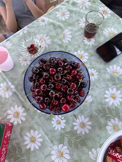 An overhead shot captures a vibrant outdoor table scene, set in Grocka Urban Municipality, Serbia. The table is draped with a light green tablecloth adorned with a cheerful pattern of white daisies and green foliage.
The central focus is a large blue bowl brimming with fresh, dark red cherries, many still bearing their green stems. To the left of the cherries, a clear, textured glass holds a dark beverage, possibly iced tea or juice. Further left and slightly upwards, a smartphone with a dark case lies face down on the tablecloth.
In the lower left quadrant, a person's legs, clad in striped attire, are partially visible, suggesting someone is seated at the table. Nearby, a small, clear, fluted glass bowl contains discarded cherry stems and possibly some pits, indicating active consumption. A pink plastic cup is partially visible at the bottom edge.
To the upper right, a portion of a white bowl with a blue rim is seen, containing individually wrapped snacks, one of which clearly displays "Nogel" and "original" text on its red packaging. In the lower right corner, part of a festive red and green decorative tin is also visible.
The scene depicts a casual, relaxed outdoor gathering or snack time, likely during the daytime given the bright, even lighting. The atmosphere appears pleasant and leisurely.