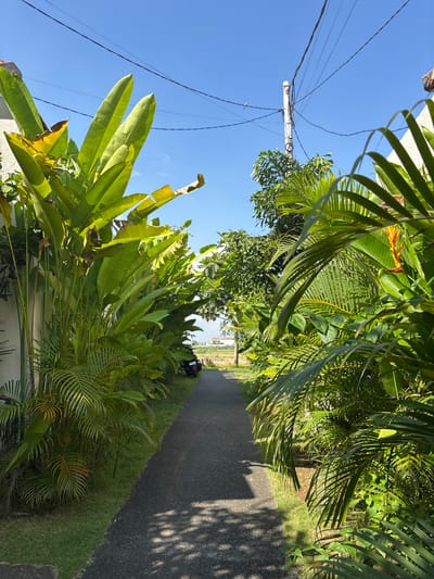 The image depicts a paved road in Cemagi, Indonesia, bordered by lush tropical vegetation, including banana plants and palm trees. A utility pole with power lines is visible against a clear blue sky. In the distance, a glimpse of a rural landscape with rice paddies and buildings can be seen. A motorcycle is parked on the side of the road. Shadows from the trees fall across the pavement. A white wall is visible in the foreground, partly obscured by vegetation.