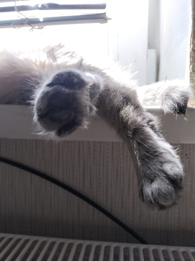 The image shows a close-up of a cat's furry paws and legs, draped over a windowsill. The cat appears to be sleeping or resting, with its body mostly out of frame. Sunlight streams in from the right, illuminating the fur and creating a bright, almost ethereal glow. The background is a blur of light and shadow, with hints of blinds or a window covering at the top. Below the windowsill, a black cable is visible, running diagonally across a textured surface that appears to be wallpaper. At the very bottom of the frame, a white, slatted object, possibly a radiator or air vent, is visible. The scene suggests a peaceful, domestic setting, likely indoors on a sunny day, as indicated by the strong light and shadows. The location is identified as Vysokyi, Ukraine, but this is not visually evident from the image itself. No text is visible in the image.