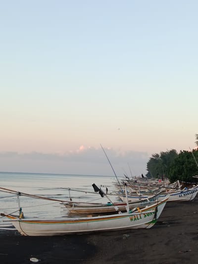 This media file depicts a tranquil scene at a beach in Jangkar, Indonesia, likely at dawn or dusk. The sky transitions from a pale blue at the top to soft hues of pink and yellow near the horizon, indicating the early or late hours of the day. A few wispy clouds are visible, tinged with pink.
The main subjects are a row of traditional Indonesian fishing boats, known as "perahu," beached on a dark sand shore. These boats are long and narrow, with outriggers for stability. They are mostly white with colorful stripes along their hulls. Several boats have prominent poles, likely for sails or fishing equipment. Some have black flags or fabric attached to them.
The ocean is calm, with gentle waves lapping at the shore. The water appears a serene grey-blue. In the background, a line of lush green trees runs along the edge of the beach, separating it from what might be land beyond. There are a few small figures visible near the boats, suggesting human presence, but they are indistinct. One boat in the foreground has visible text painted on its side: "WALI SONG". Another boat further down the line also has text that appears to read "AL MAHABBAT".
The overall mood of the image is peaceful and serene, capturing a quiet moment by the sea before or after a day of fishing. The weather appears calm and clear. The presence of the beached boats strongly suggests a coastal fishing village as the location.