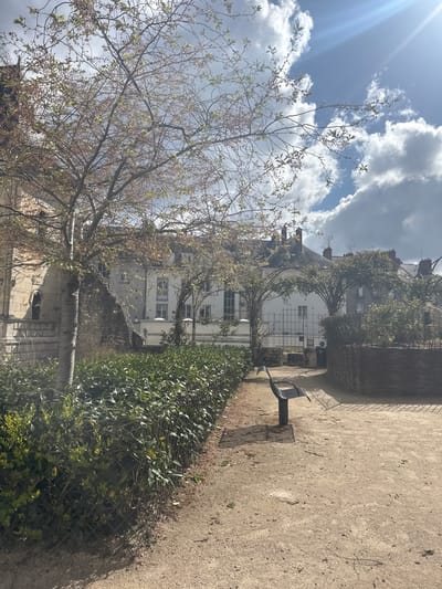 The scene depicts a public garden or park pathway in Orléans, France, under a bright, partly cloudy sky. The foreground features a light brown gravel path, devoid of people. To the left, a meticulously maintained, dense green hedge, approximately waist-height, runs parallel to the path, supported by a dark, diamond-patterned metal trellis. A single, dark grey metal bench with a curved seat and back rests on the path towards the mid-right, casting a distinct patterned shadow to its left.
In the midground, a deciduous tree with slender branches, sparse light green leaves, and small red blossoms stands prominently on the left, partially obscuring a light-colored stone building with an arched window and intricate stone detailing. Adjacent to this, a section of a weathered stone wall appears as part of the landscaping. Further right, a row of multi-story white residential buildings with dark roofs, numerous windows, and chimneys are visible. Two ornamental metal arches covered in green foliage stand in front of these buildings, leading towards a metal gate. To the far right, a raised garden bed is enclosed by a dark brown, woven fence.
The background shows a dynamic sky with patches of bright blue and large, white cumuliform clouds. A prominent sunbeam, manifesting as a lens flare, originates from the upper right, indicating strong direct sunlight. Rooftops with television antennas are visible above the background buildings. No individuals or animals are present in the image.