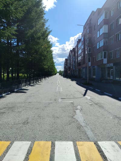 An asphalt road stretches into the distance, lined on the left by a row of tall, dark green coniferous trees behind a metal fence. On the right, a multi-story brick building with numerous windows and balconies runs parallel to the road. The sky above is blue with scattered white clouds, and the sun casts shadows. In the foreground, a pedestrian crossing is marked with alternating yellow and white stripes. The road appears to have some patches and wear. The scene depicts a typical urban street in Olenegorsk, Russia.