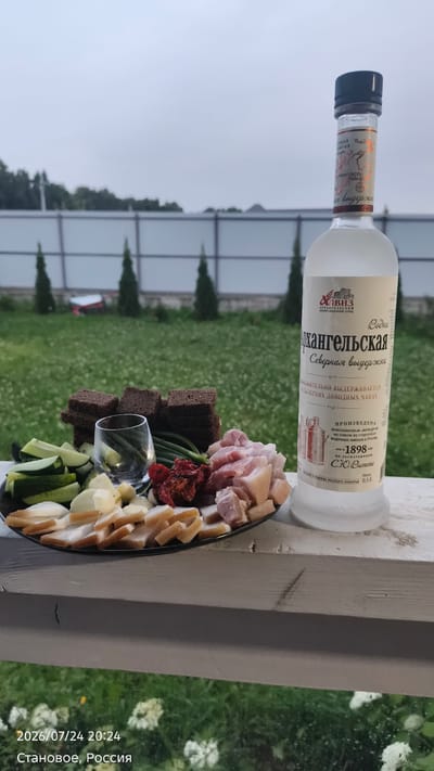 The image shows a bottle of Archangelskaya Northern Matured vodka and a plate of food on a railing outdoors. The food consists of sliced cured meat, chopped raw meat, sliced bread, sliced cucumbers, and what appear to be green onions and dried tomatoes. The bottle is clear glass with a white label that has text in Russian. The background shows a lawn with trees and a fence, under an overcast sky. The bottom left corner of the image displays the text "2026/07/24 20:24 Stanovoe, Russia".