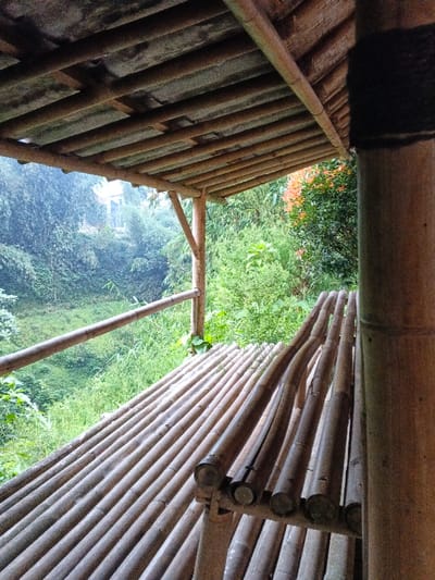 The image displays an outdoor environment in Pinnwe, Myanmar (Burma), viewed from within a bamboo structure. The foreground features the underside of a bamboo roof, constructed from parallel bamboo poles, supported by vertical bamboo columns. A thick bamboo column on the far right is partially wrapped with dark material. A thinner bamboo pole on the left supports a horizontal bamboo railing that extends across the mid-left of the frame. Below the railing, a multi-paneled bamboo bench or platform is visible, constructed from numerous parallel bamboo poles. No individuals are present within the scene. The background reveals a dense, verdant landscape of trees and vegetation, indicative of a hillside or valley. A light-colored building with a visible roofline is partially obscured by distant foliage on the left. Isolated patches of orange foliage are interspersed among the green trees on the right side of the background.