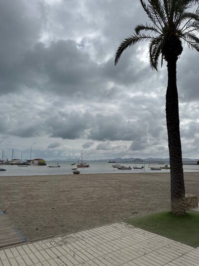 The image depicts a panoramic view of a cloudy day at a beach and coastline in Los Alcázares, Spain. The foreground features a light-colored, square-tiled walkway with a patch of green grass or artificial turf on the right, adjacent to the base of a tall, dark palm tree that extends vertically along the right edge of the frame. To the left of the grass, a sandy beach stretches across the midground, showing faint impressions on its surface. A wooden boardwalk ramp is partially visible on the far left of the beach.
The midground transitions to a calm body of water, likely the Mar Menor, where numerous boats are moored or anchored. These include several sailboats with their masts upright, one featuring a red stripe on its hull, and multiple smaller motorboats or dinghies. On the far left of the water, a structure resembling a yellow and red houseboat or floating platform is visible near a small pier or marina. A white volleyball net with poles is erected on the sandy shoreline at the water's edge, slightly right of center.
In the background, distant landmasses, possibly hills or mountains, are visible across the water. A long, grey pier or breakwater with several supporting structures extends horizontally from the right side of the background across the water. The sky above is entirely overcast with a dense layer of dark grey clouds, obscuring the sun and creating muted lighting conditions. No people are visible in the scene, and no specific actions or interactions are occurring.