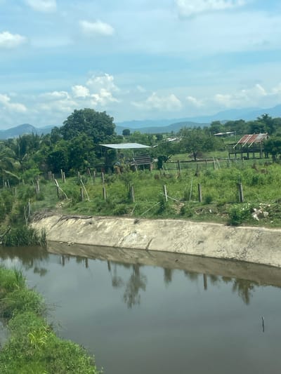 This is a photograph taken in Song Luy, Vietnam, likely during the daytime under a partly cloudy sky. The image depicts a rural scene with a body of water running alongside a grassy embankment. The water appears murky and reflects the surrounding greenery and the concrete structure on its edge.
The embankment is lined with weathered wooden posts, suggesting it might be part of a fence or a boundary marker for a field or property. Beyond the embankment, there's a lush green landscape dotted with trees and vegetation. In the mid-ground, a white, tent-like structure is visible, possibly a shelter or a part of an agricultural setup. Further back, there are hints of buildings, including one with a rusty roof, and more trees, leading towards distant, hazy hills or mountains. The sky is a bright blue with scattered white clouds, contributing to a feeling of a typical day in a tropical or subtropical environment.
There are no people visible in the frame. The overall impression is one of a tranquil, rural setting. The photo appears to be taken from a slight elevation, possibly from a road or a higher vantage point overlooking the water and the landscape. The lack of human activity and the natural elements dominate the scene, emphasizing the quietude of the location.