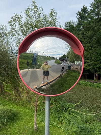 The image shows a wide-angle convex mirror with a red rim, mounted on a metal pole outdoors. The mirror reflects a scene featuring a paved path, grassy slopes, trees, and several people. In the foreground of the reflection, a person wearing a yellow cropped sweater, black shorts, and white sneakers is taking a selfie with their phone. Further down the path, a person in a dark t-shirt and shorts is walking away from the camera, looking at their phone. In the mid-ground of the reflection, there are more people walking along the path, and a green trash bin. The background of the reflection shows a verdant landscape with rolling hills and trees. The surrounding environment outside the mirror is characterized by lush green grass, bamboo-like plants, and tall trees. This scene is likely situated in a park or public area within the Lin'an District of China, given the presence of a convex mirror commonly used for traffic safety or to enhance visibility in such locations.