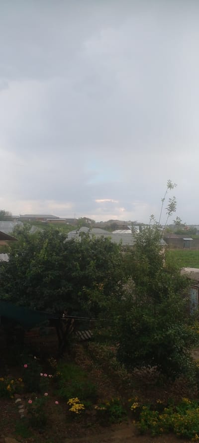The image depicts an outdoor scene in Parkent, Uzbekistan, under a cloudy sky. The foreground features a garden with scattered pink and yellow flowers and lush green foliage. A dark green tarp is visible on the left side of the frame. Behind the garden, a dense green tree dominates the mid-ground, with another, more slender tree to its right. Beyond the trees, a collection of residential buildings with various roof types can be seen, suggesting a village or suburban area. The houses appear to be single-story structures with some showing corrugated metal roofs. The overall impression is a slightly overcast day in a rural or semi-rural setting within Parkent.