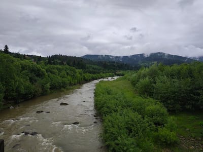 A wide, muddy river flows through a valley with dense green foliage on both banks. The river has a rocky bottom, with some rocks visible above the water's surface. The left bank is covered in trees and some scattered houses. The right bank is overgrown with bushes. In the background, a range of forested mountains rises, with some shrouded in mist. The sky is overcast with gray clouds. The scene is likely in the Carpathian Mountains, near Mykulychyn, Ukraine.