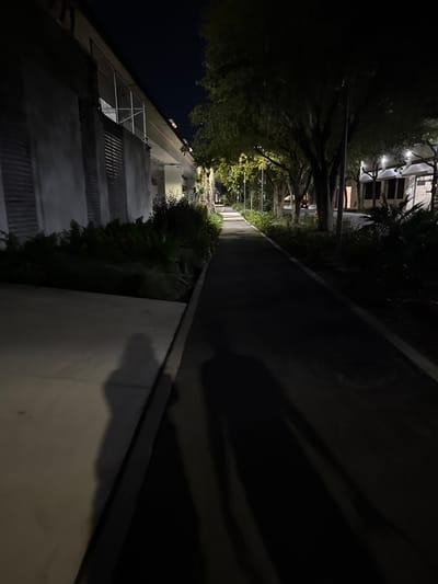 A nighttime scene shows a narrow, dark path extending into the distance between buildings and foliage. The path is lined by shrubs and trees, illuminated by sporadic lighting further down the walkway. The buildings appear multi-story, and a series of lights are visible on the far building. The path is bordered by a concrete edge, and shadows cast long, irregular shapes across the asphalt. The overall atmosphere is shadowy and dimly lit.