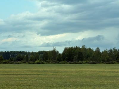The image shows a wide, green field in the foreground, with a line of trees forming the horizon. The sky above is filled with dramatic, grey clouds, suggesting a stormy or overcast day. In the distance, a faint structure resembling a power line tower can be seen rising above the trees. The overall impression is one of a rural landscape under a brooding sky.