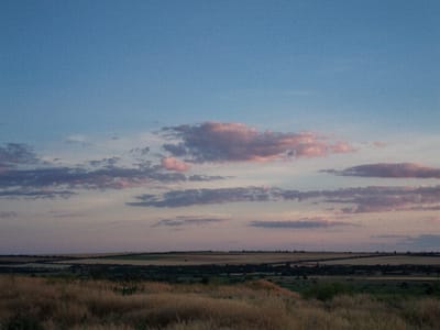 A wide-angle, low-angle shot captures a pastoral landscape at dusk. The sky dominates the upper half of the frame, transitioning from a deep blue at the top to a softer, pale pink and lavender hue near the horizon, indicating the twilight hours. Scattered across the sky are wispy, elongated clouds, some tinged with pink from the setting sun.
Below the sky, a rolling landscape unfolds. In the foreground, dry, golden-brown grasses are densely packed, suggesting a field or meadow. Further back, the land is divided into agricultural fields, with patches of green, yellow, and brown visible, likely representing different crops or stages of growth. A darker strip of trees and shrubs forms a boundary between the foreground grass and the cultivated fields. The horizon is marked by a line of low hills or a distant treeline.
The overall mood is serene and peaceful, evoking the quiet transition from day to night in a rural setting. The time of day is clearly evening, likely sunset or just after. The weather appears calm, with no strong winds suggested by the vegetation. While specific location cues are limited, the description of rolling fields and the general topography are consistent with many rural areas. There is no visible text in the image. The scene depicts a natural, undeveloped landscape with agricultural elements, devoid of any human figures or prominent man-made objects, focusing instead on the interplay of light, sky, and earth.