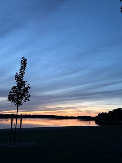 This is a photograph of a serene lake scene at dusk, with a silhouetted tree in the foreground. The sky displays a gradient of blues and soft oranges and pinks, indicative of a sunset. Wispy clouds stretch across the sky, catching the last light. The lake's surface reflects the colors of the sky and the distant treeline, which is also silhouetted. A grassy area is visible in the immediate foreground, also in shadow. The scene suggests a peaceful, natural setting within or near the city of Neumünster, Germany, possibly a park or recreational area bordering the lake. No people are visible in the image. The overall impression is one of tranquility and natural beauty.