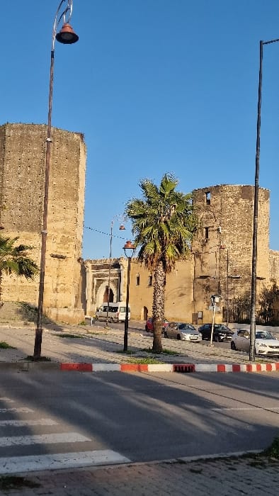 The image displays an urban scene in Mechouar Fes Jdid, Morocco, featuring ancient fortifications and modern street elements under a clear blue sky. In the foreground, an asphalt road with white crosswalk stripes is visible, bordered by a raised curb painted red and white. Shadows are cast across the road surface.
Two distinct streetlights are prominent: one on the far left, a tall pole with a curved arm holding a reddish-brown lantern, and another similar but shorter streetlight in the mid-ground, positioned right of center. A third, darker streetlamp with a single light head is visible behind the central palm tree.
The mid-ground is dominated by a robust palm tree with a thick trunk and vibrant green fronds, situated on a small, sparse median. Behind this, a weathered, rectangular stone tower stands on the left. In the center, an ornate, arched gateway with intricate geometric patterns is visible. A white minivan is positioned within this archway, appearing to be in motion or recently stopped. To the right of the gateway, a rounded stone bastion or tower, also weathered, exhibits several dark, open windows or embrasures.
On the right side of the frame, behind the central palm tree and adjacent to the rounded tower, multiple modern passenger vehicles of varying colors (including silver, black, white, and red) are parked along the street. No individuals are distinctly visible in the scene. The ambient lighting suggests either morning or late afternoon, producing sharp shadows.