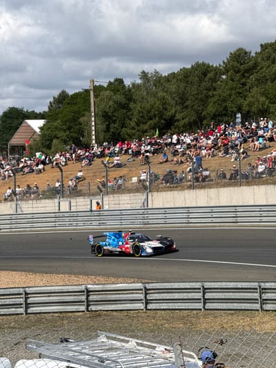 A race car speeds along a track bordered by barriers and a chain-link fence. On the other side of the fence, spectators sit and stand on a grassy hillside, watching the race. Trees line the edge of the hill. The sky is overcast. The race car is predominantly blue, white, and red.