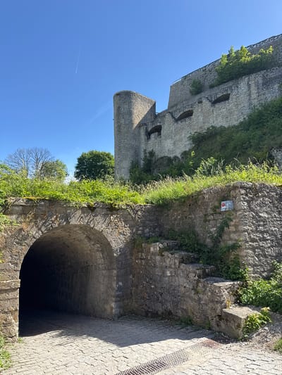 The image shows a view looking up towards the Hohenneuffen Castle ruins in Neuffen, Germany. In the foreground, a stone archway leads into a dark tunnel. To the right of the archway, a stone staircase ascends along a weathered stone wall. The wall is overgrown with green vegetation and moss. Above this, the main structure of the castle is visible, constructed from large stone blocks and featuring rounded towers and arched openings. Lush green trees and vegetation cover the slopes leading up to the castle. The sky is a clear, bright blue with a faint contrail from an airplane. The ground in front of the tunnel is paved with interlocking stones.