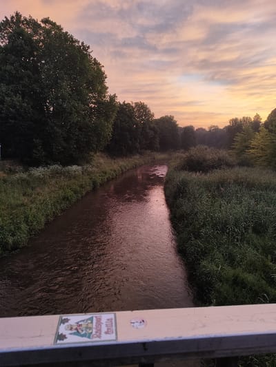 The image depicts a tranquil river flowing through a lush, tree-lined landscape at sunrise. The sky is painted with soft hues of pink, orange, and yellow, indicating the early morning light. The river's surface reflects the warm tones of the sky, giving it a reddish-brown hue. Dense green foliage lines both banks of the river, with tall trees creating a dense canopy in the background. In the foreground, a white railing is visible, adorned with a sticker featuring cartoonish figures and text that appears to read "Rausport Götilla". The overall scene suggests a peaceful, natural setting within or near the city of Göttingen, Germany, likely captured from a bridge overlooking the river.