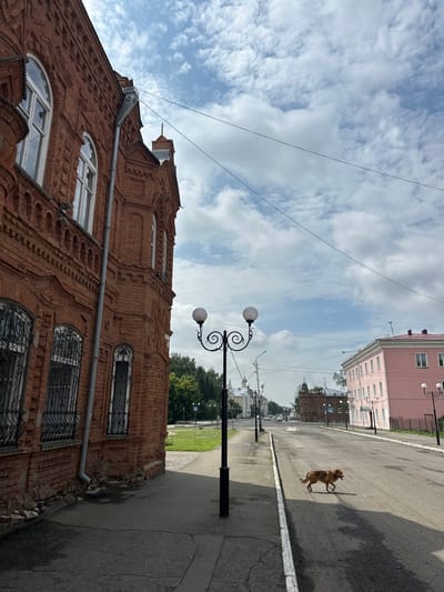 The image depicts a street scene in Nogornyi, Russia, with a focus on the left side of a red brick building and the street extending into the distance. The building on the left features arched windows with decorative grilles and intricate brickwork, suggesting an older architectural style. A downspout is visible along the side of the building.
A street lamp with two globes stands prominently on the sidewalk in the foreground. The street itself is paved with asphalt and has white painted lines along the curbs. A medium-sized brown dog is crossing the street from right to left, its tongue lolling out. In the background, other buildings are visible, including a light pink building on the right side of the street. Trees line the sides of the road in the distance, and the sky is partly cloudy. Power lines are strung across the upper portion of the image. The overall impression is of a quiet, ordinary day on a street in a Russian town.