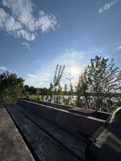 The image depicts a view from a wooden structure, possibly a deck or platform, oriented upwards towards a bright blue sky dotted with scattered white clouds. The sun is visible through the branches of trees, creating a lens flare effect. The trees themselves appear to be a mix of deciduous and coniferous types, with green foliage. Some sort of fabric is present on the upper right of the image, most likely a bag. The location is Selychka, Russia.